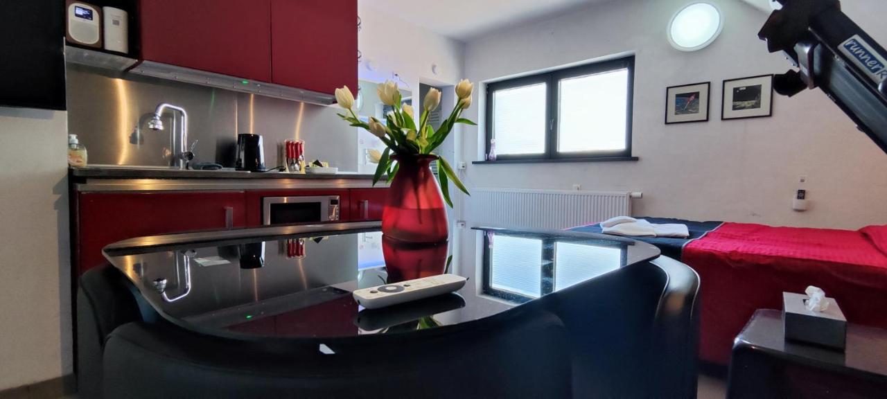 Zemst Logeerkamer Xxl 25 M2 מראה חיצוני תמונה